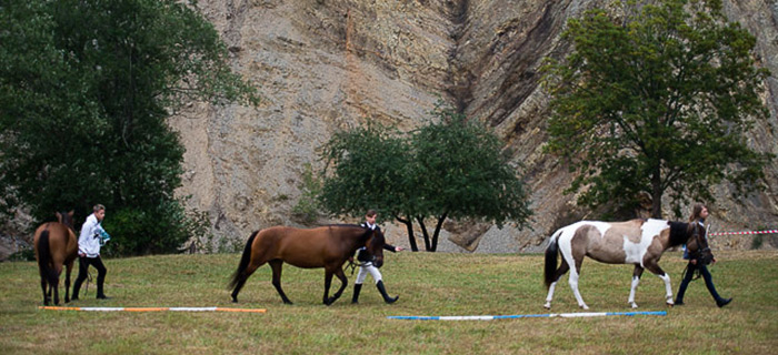ocena płytowa koni w Rudawce Rymanowskiej