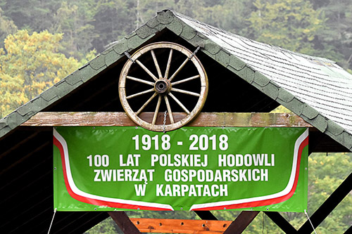 100 lat polskiej hodowli w karpatach