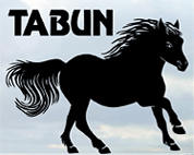Stadnina koni huculskich Tabun