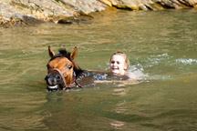 Pławienie koni huculskich