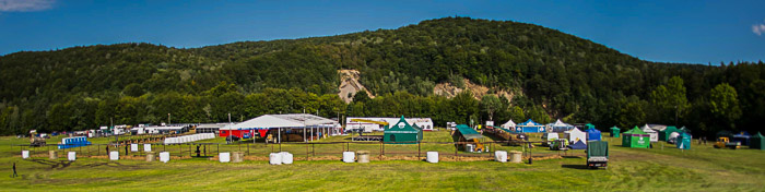 Panorama wystawy bydła simentalskiego